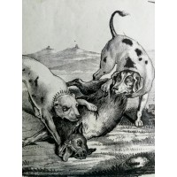 Grafika. Scenka myśliwska z psami. XIX wiek